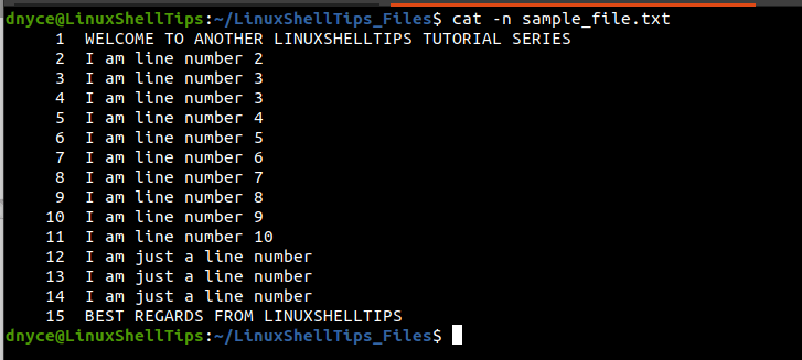 View File with Numbers in Linux