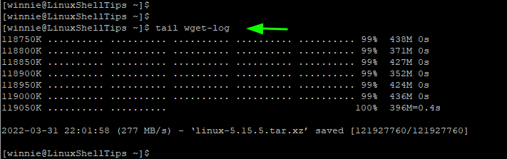 View Wget Logs