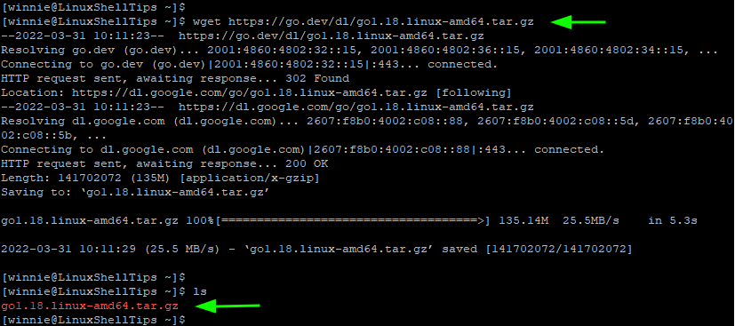 Wget Download File in Linux