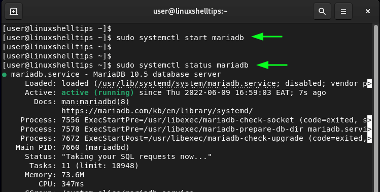 Check MariaDB Status