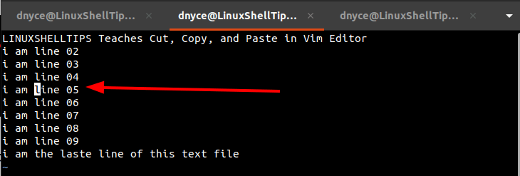 Copy End of Line in Vim Editor