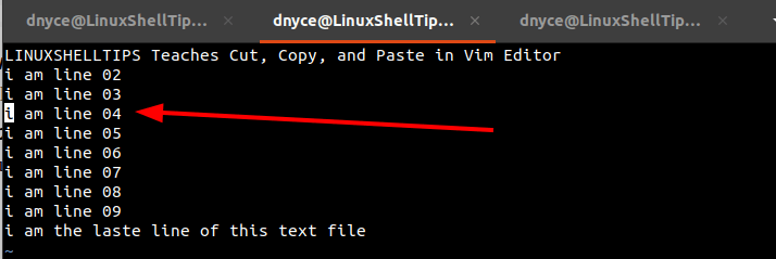 Copy Line in Vim Editor