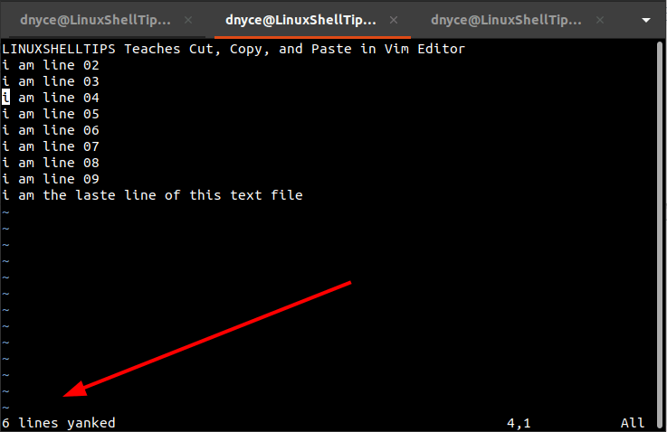 Copy Multiple Lines in Vim Editor