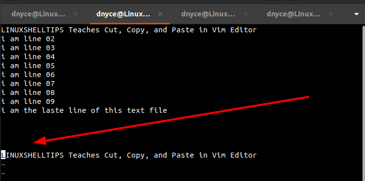 Paste Text in Vim Editor