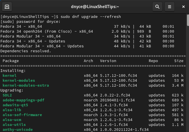 Update Fedora Packages