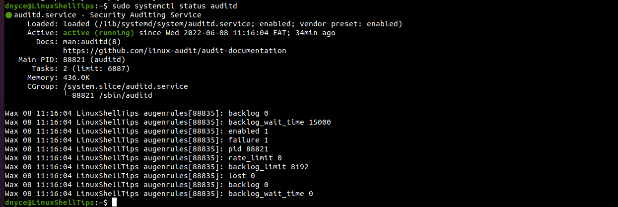 Check auditd Status