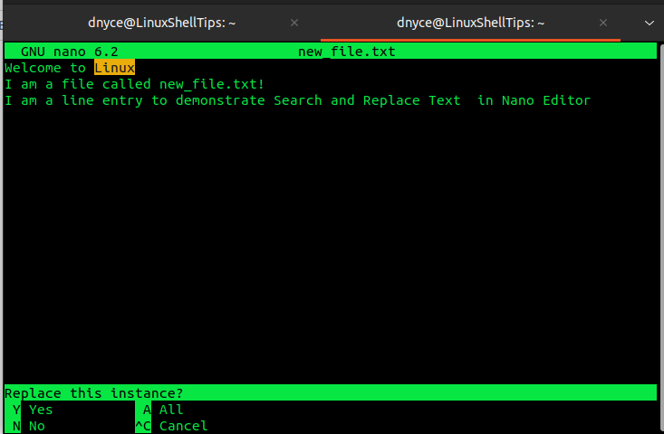 Confirm Text Replace in Nano Editor