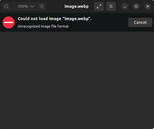 Error Could Not Load Image WebP