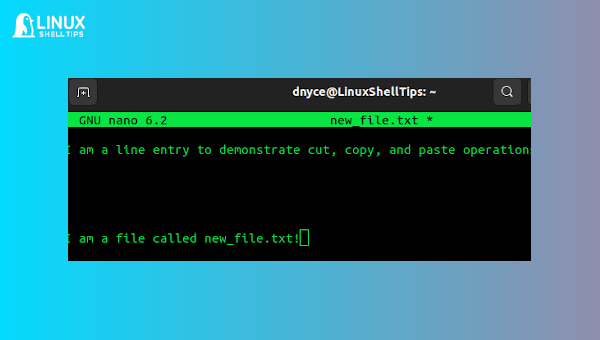 How to Cut, Copy and Paste Text in Nano Editor