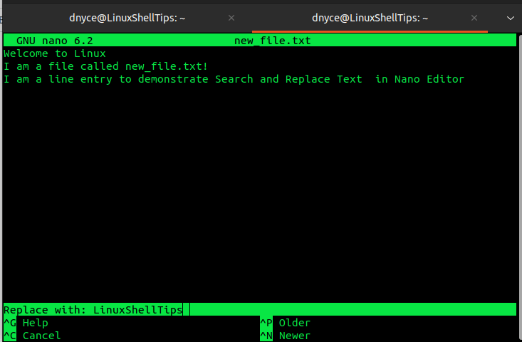 Enter Text to Replace in Nano Editor