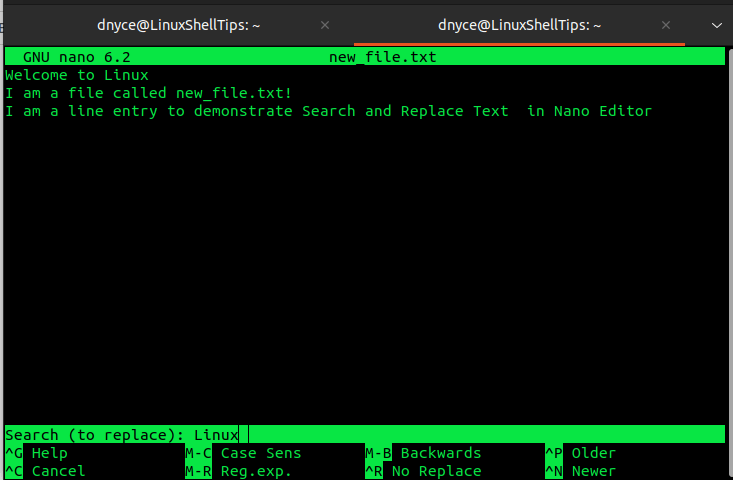 Enter Text to Replace in Nano Editor