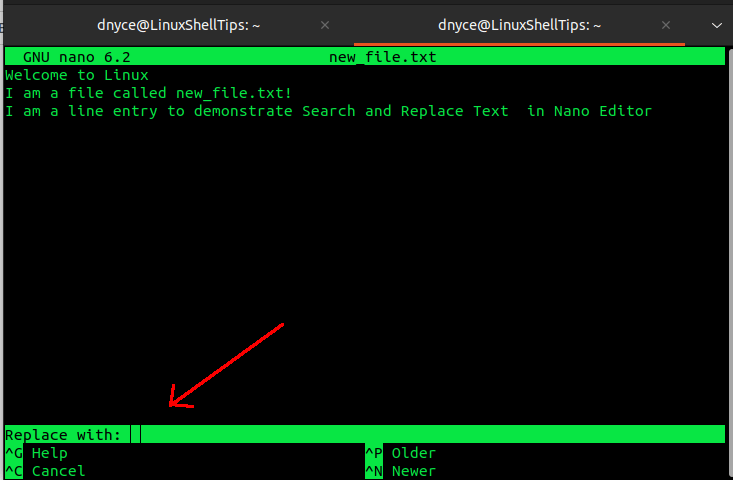 Replace Text in Nano Editor