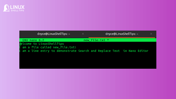 How to Search and Replace Text in Nano Editor