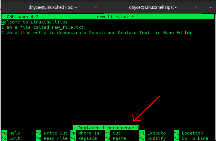 Search and Replace Text in Nano Editor