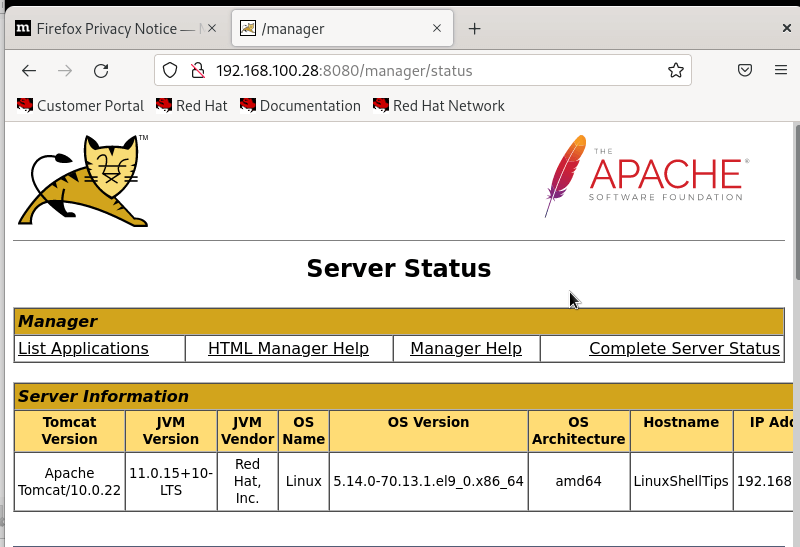 Tomcat Server Status