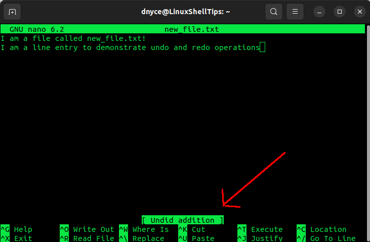 Undo in Nano Editor in Linux