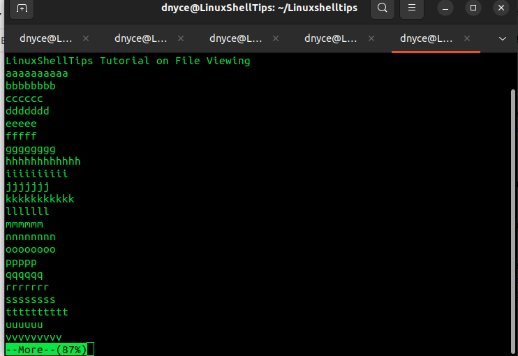 View File Contents Using More Commands