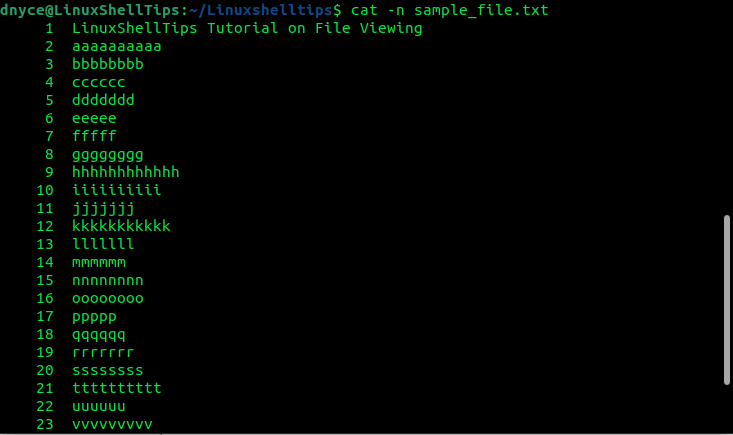 View File Contents with Line Numbers