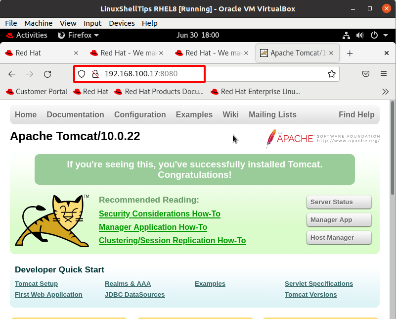 Apache Tomcat Web UI