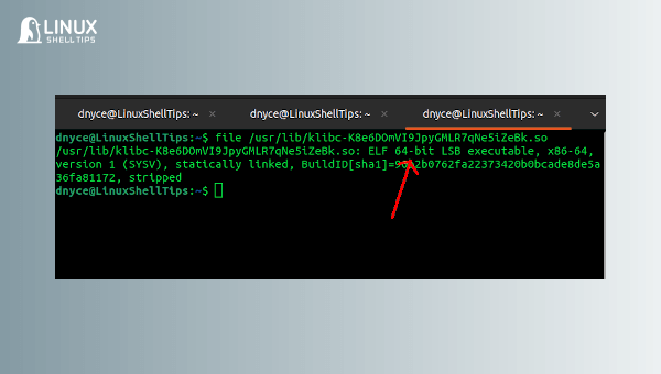 How to Check if a Library is 32-Bit or 64-Bit