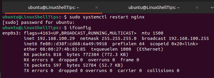 Check Nginx Server IP Address