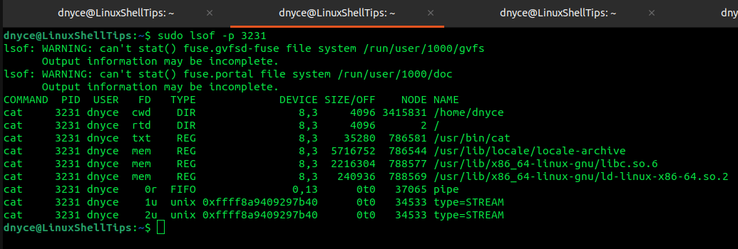 Check Per Process File Descriptors