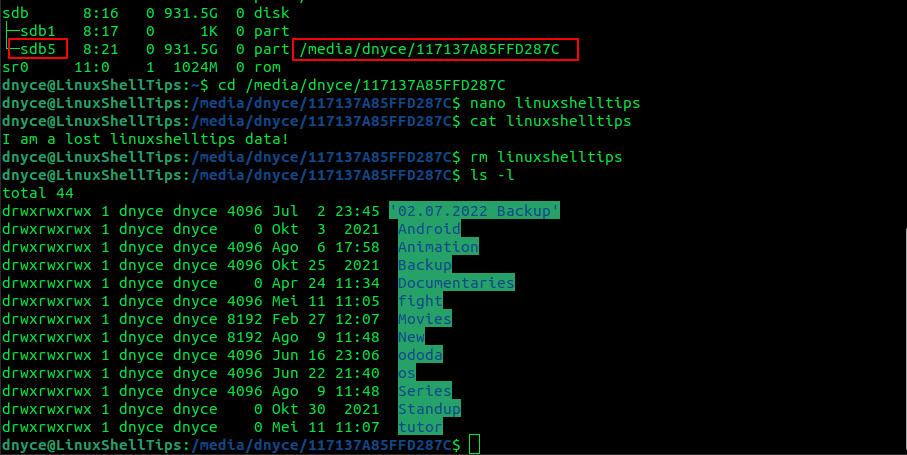 Recover Deleted File in Linux