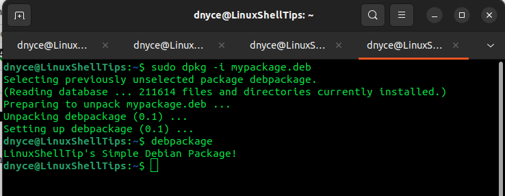 Run Debian Package