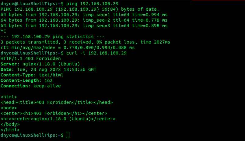 Test Nginx Blocking User Agents