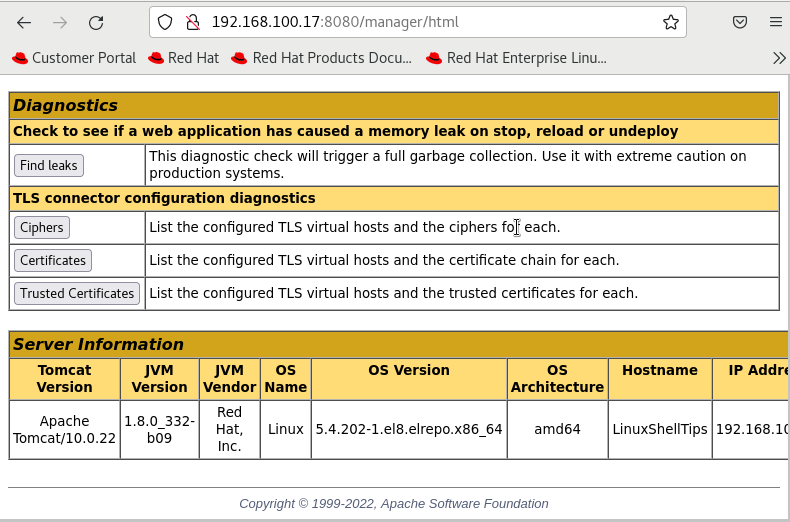 Tomcat Manager App 