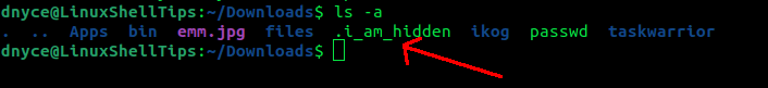List Hidden Files in Linux