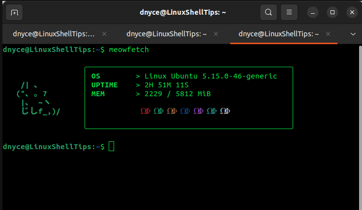 Meowfetch - Linux System Information Tool