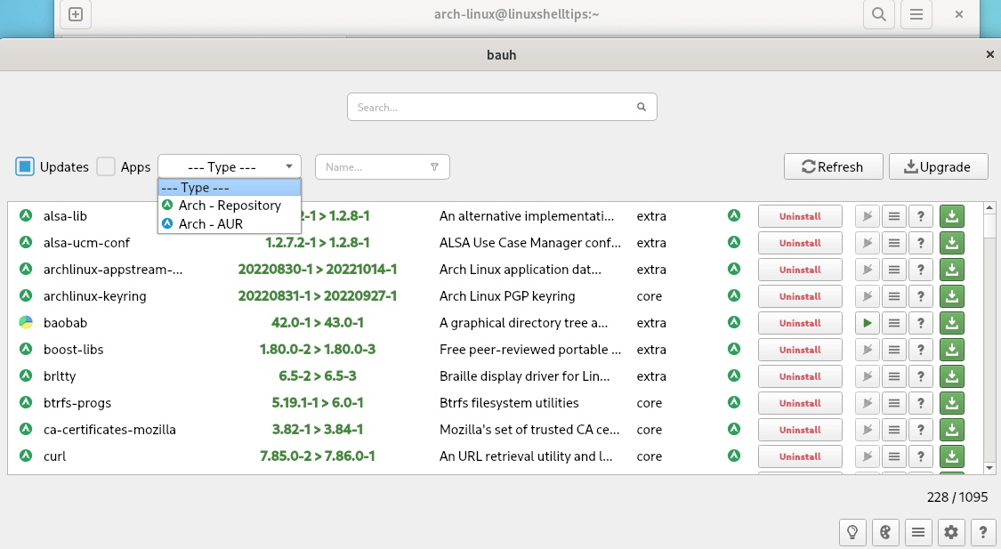 Bauh Package Manager for Arch Linux