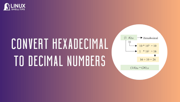 Convert Hexadecimal to Decimal in Linux