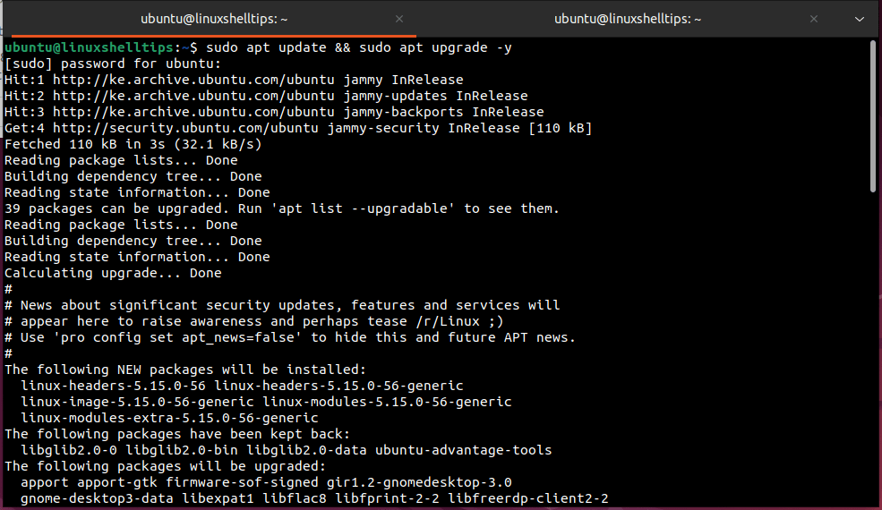 Update Ubuntu Repository Cache
