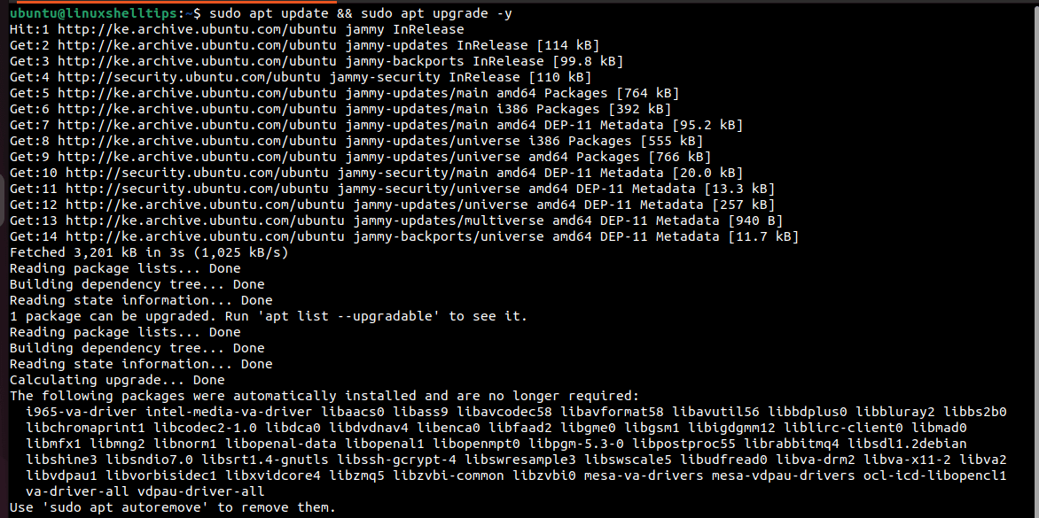 How To Use APT Command In Linux 15 Useful Examples 