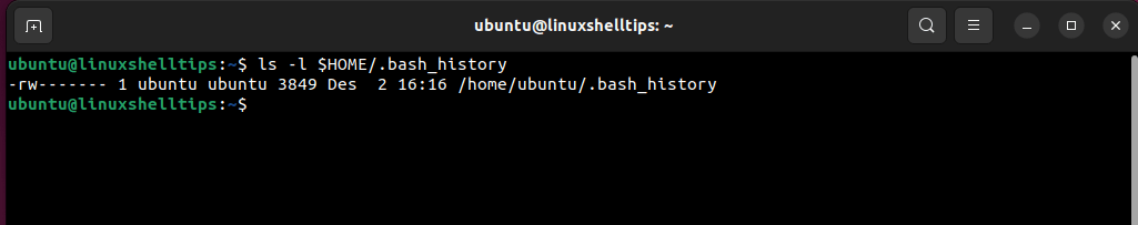 User Bash History File