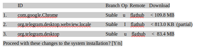 Update Specific Flatpak Package