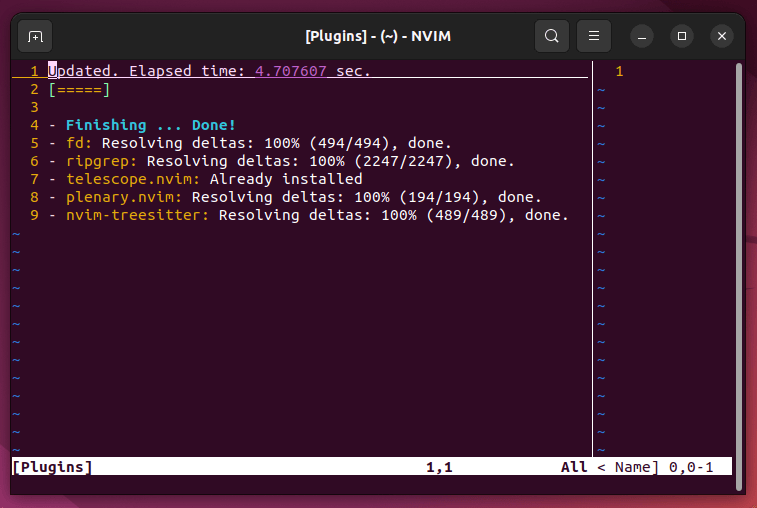 Install Plugins in NeoVim