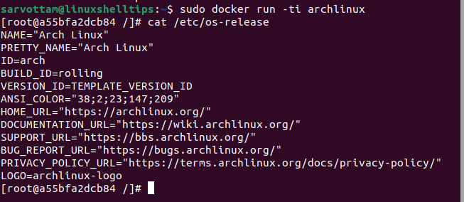 Run Docker Container