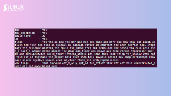 Most Common Flags in /proc/cpuinfo with Examples
