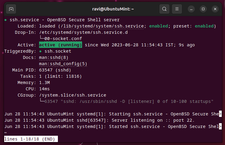 Check SSH in Ubuntu