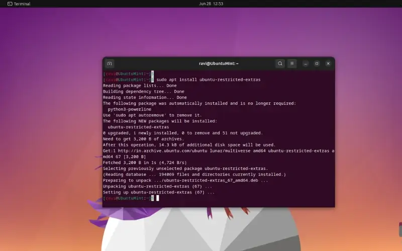 Install Ubuntu Codecs
