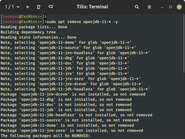 Remove Java in Ubuntu
