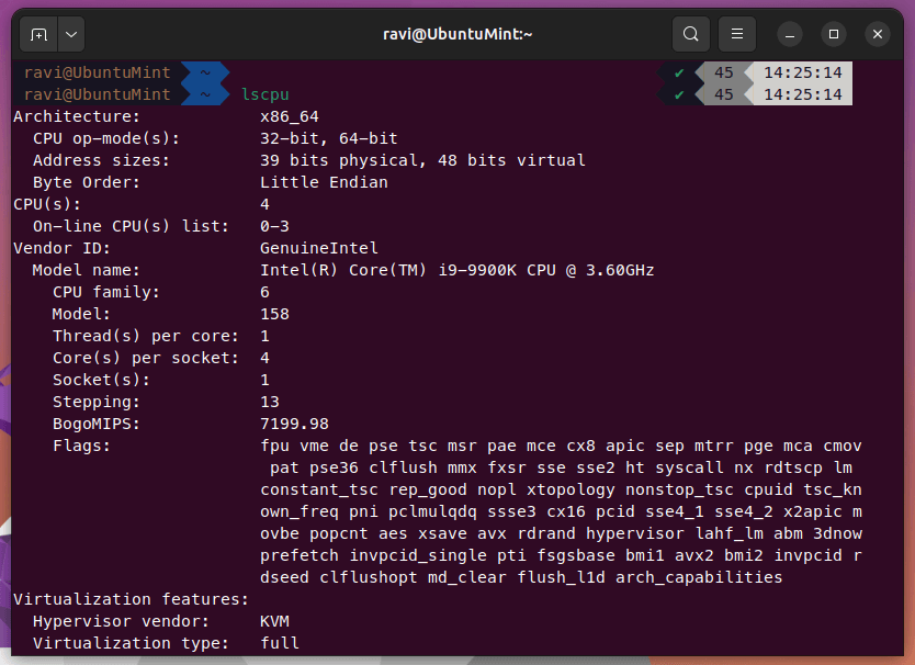 Ubuntu CPU Architecture Information