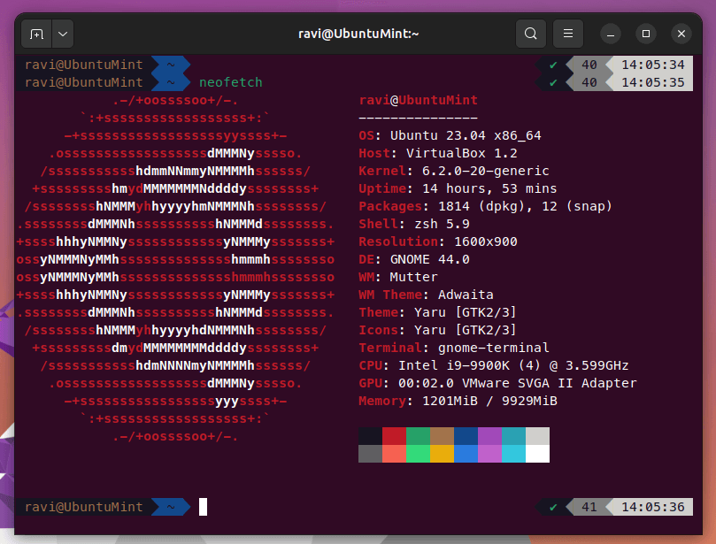 Ubuntu with ZSH and Powerlevel10k Theme