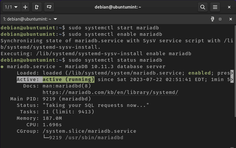 Check MariaDB in Debian