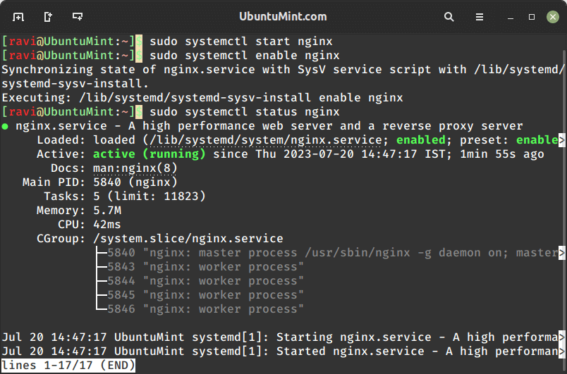 Check Nginx in Ubuntu