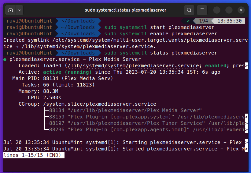 Check Plex Status in Ubuntu