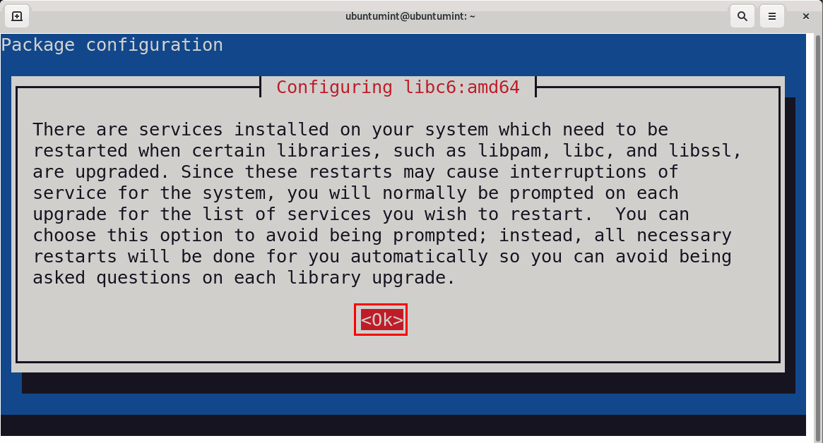 Configure libc6